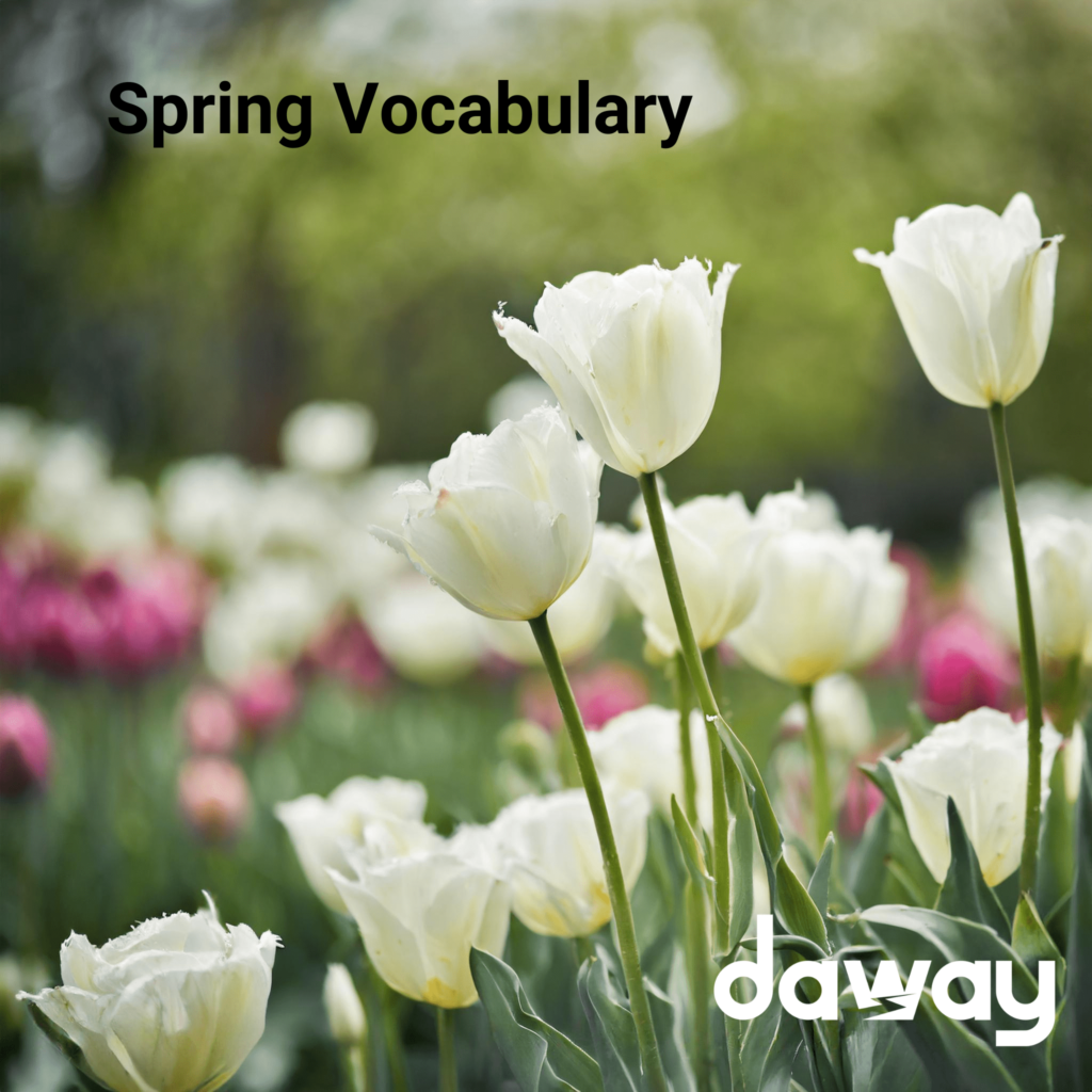 Embrace the Season: Common Spring Vocabulary Explained